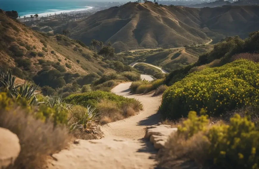La Jolla Hiking Trail: A Friendly Guide For Explorers 2024