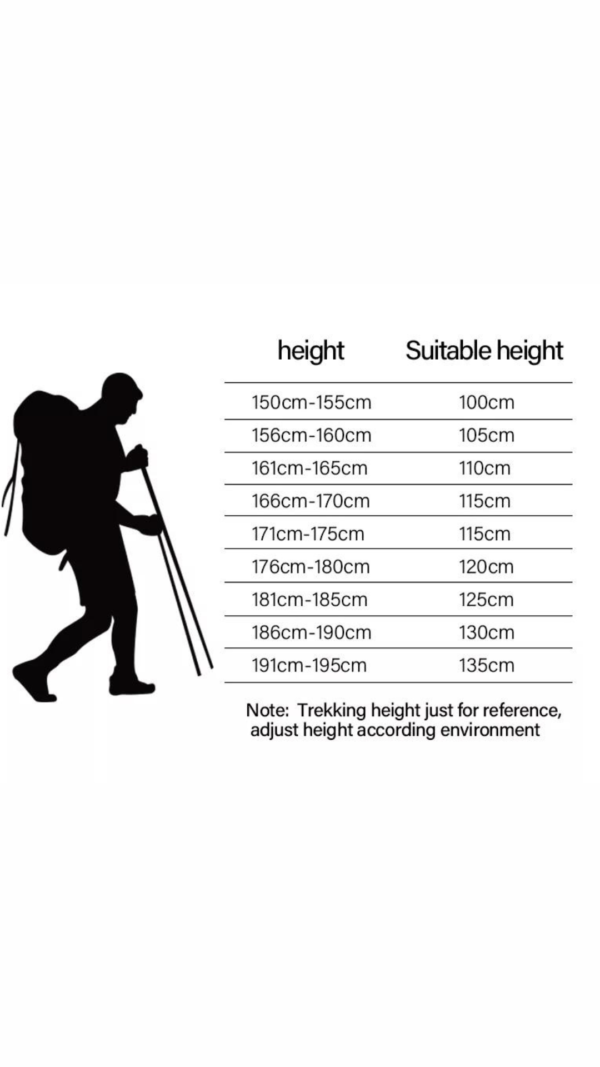 Folding Walking Sticks For Hiking