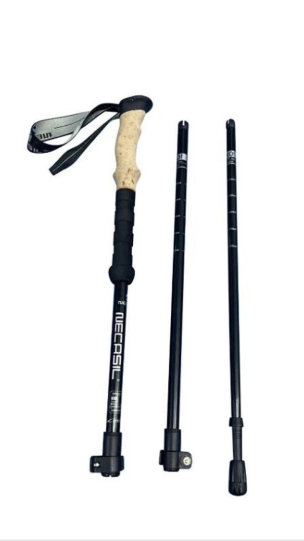 Hiking Canes